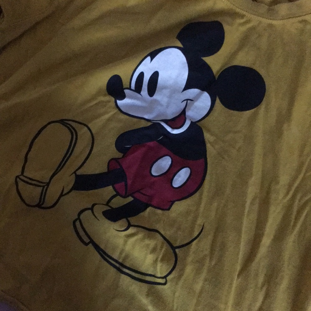 Disney crop top